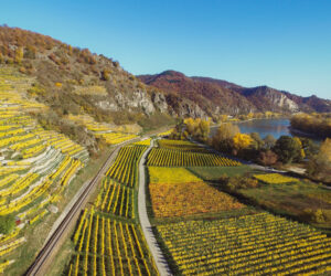 Vale do Danúbio - Wachau com SATO TOURS
