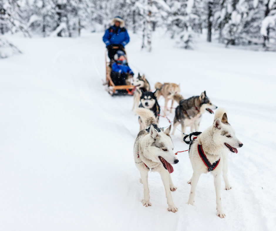 La magia del invierno en Finlandia 2025